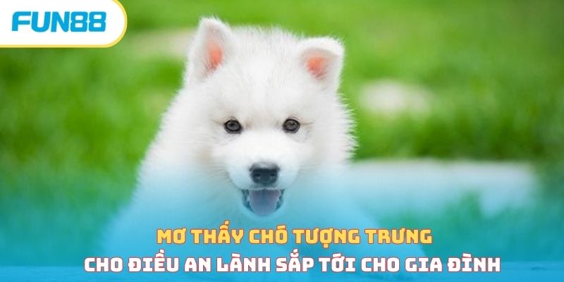 Sổ mơ thấy chó