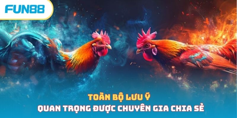 Lưu ý quan trọng trong cách nuôi gà đá