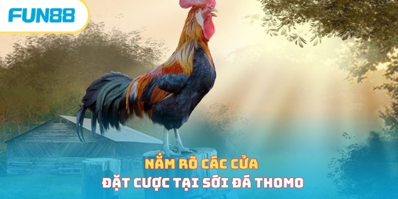 Các cửa cược Meron, Wala, BDD trong đá gà Campuchia