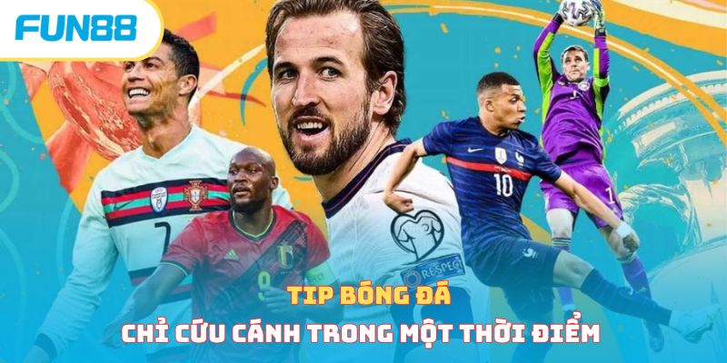 Sai lầm khi mua tip bóng đá